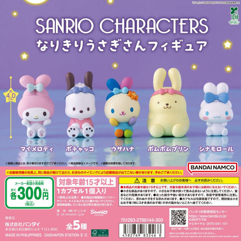 Sanrio بلايند بوكس