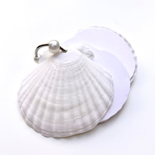 دفتر ملاحظات صدف البحر