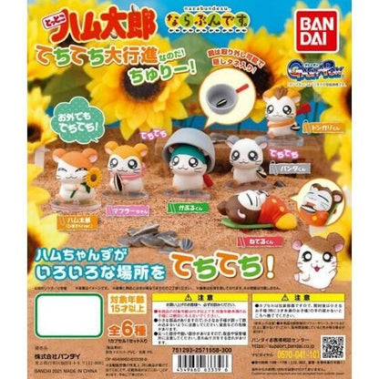 مجسمات Hamtaro